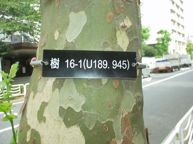 街路樹管理ナンバープレート