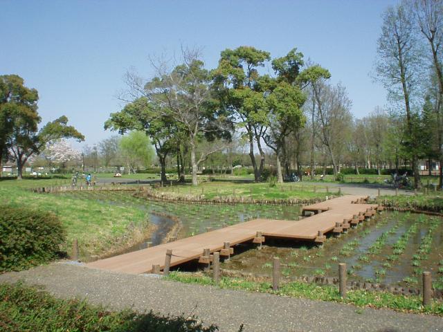 木橋《水元公園》
